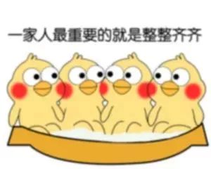 都市丽人回村现状,都市丽人回家过年现状