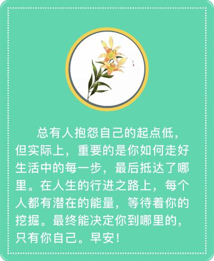 即将开通的济南黄河凤凰路大桥,济南凤凰黄河大桥建设了几年