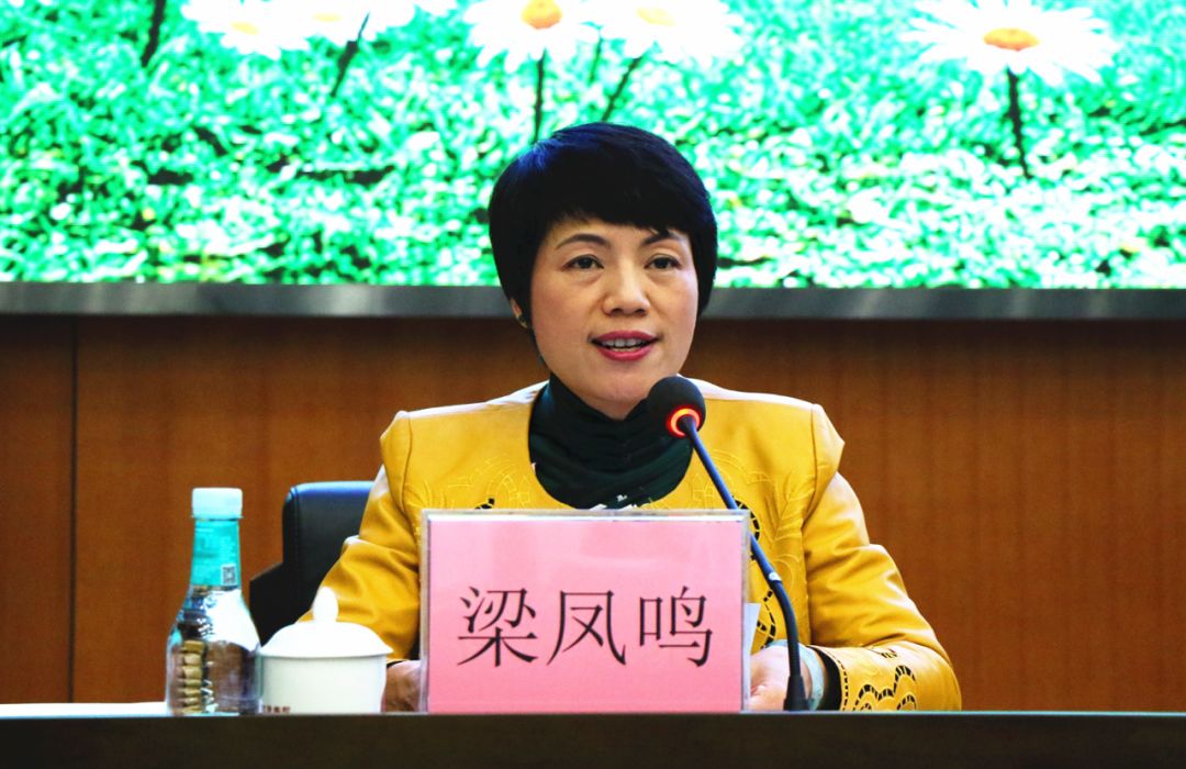 东莞未来5年中小学学位,东莞市教育教学改革