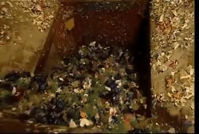 塑料瓶可以制成衣服吗,塑料瓶能做什么衣服卖