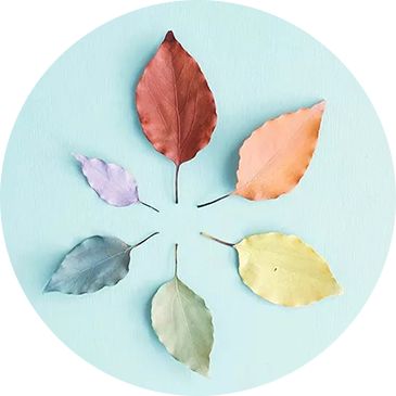 【健康科普知识】化疗后需要监测血象么？