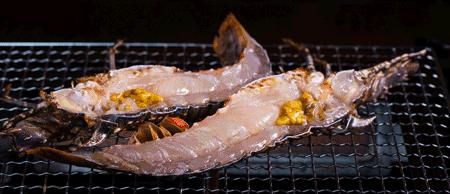 渔家女朋友圈直播,渔家女海鲜直播