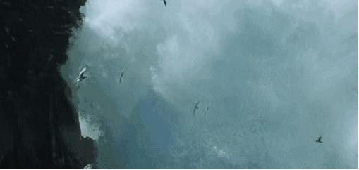 你真的了解人性吗,你真的了解道家吗