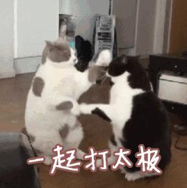 TA藏在静安,可能是市中心最袖珍公园,重温老上海的儿时记忆