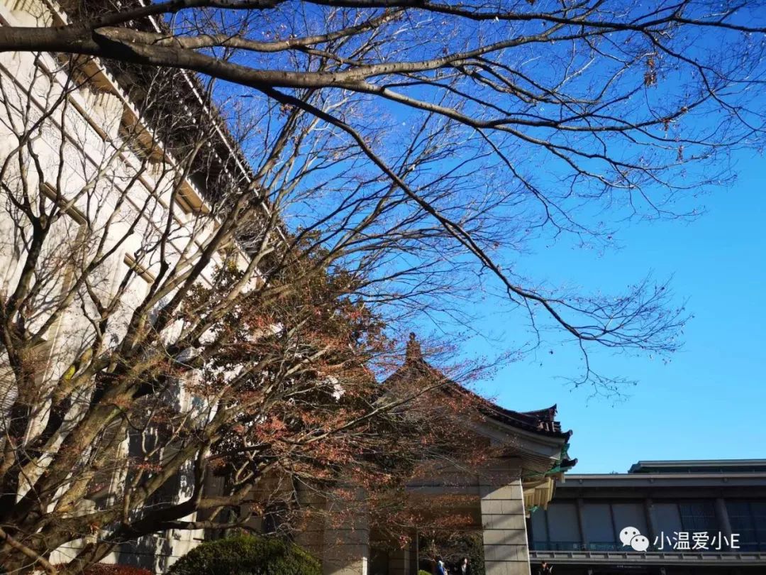 颜真卿展览,看展览发朋友圈文字