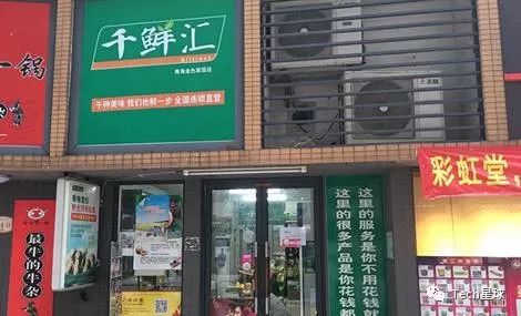 团长叛变：社区团购生死暗战