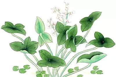 广州海珠区免费公园推荐,海珠区最近的公园