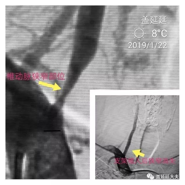 医路向前小说,医路向前完整版合集