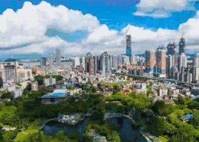 厦门夜景最美公园排名前十的地方,厦门公园美景视频