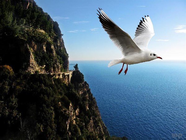 事事不如意的时候默念这三句话,默念不如意的三句话