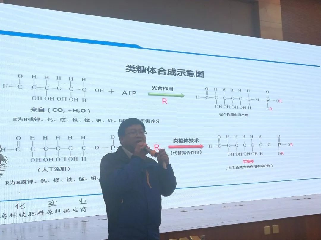 云南前五十名农资经销商,云南农资经销商有哪些