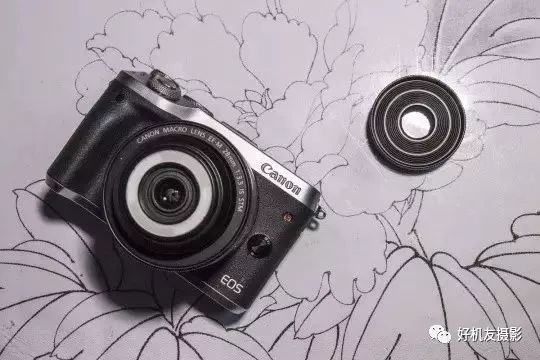 新手必须掌握的7个微距摄影技巧,光影留情谈微距拍摄技巧