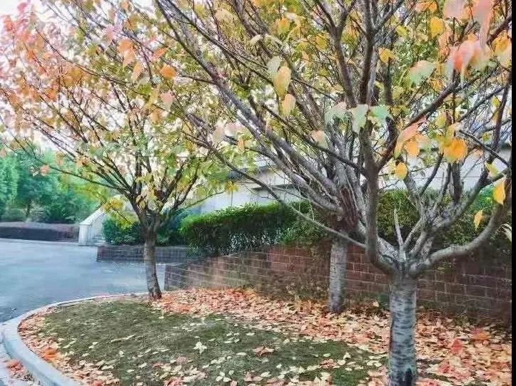 常州大学院校排名前十名,常州十大高校