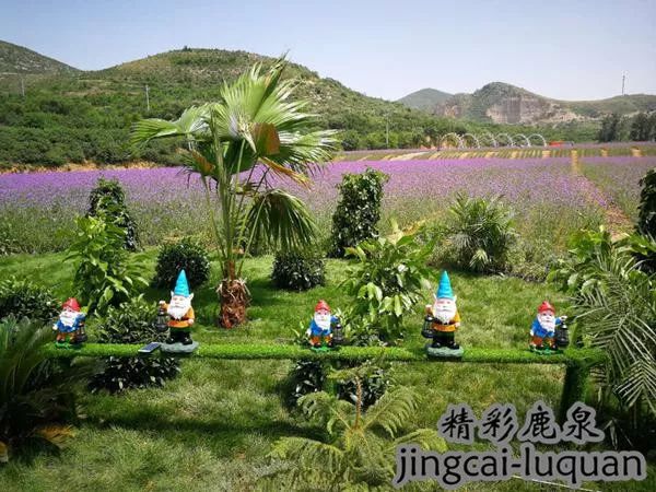 2018鹿泉的“政府帐本”来了！