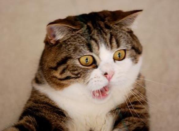 显卡陷阱,显卡隐蔽式供电