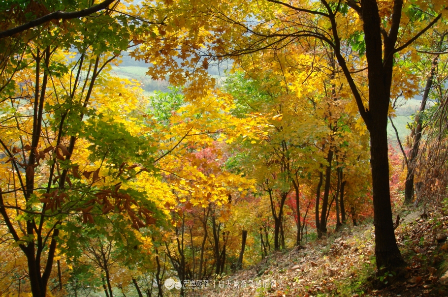 本溪市有名的画家,本溪桓仁画家村