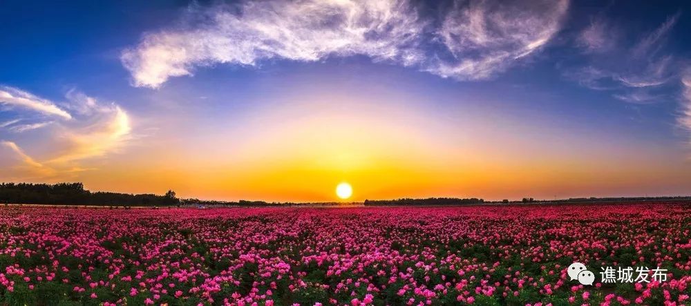 我在亳州你在哪里歌词,我在亳州你在哪里原唱