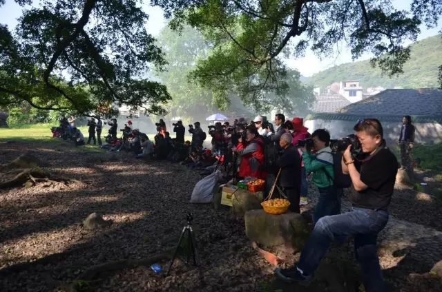 这些网上疯传的照片都是骗人的,你该知道的网络疯传的假照片