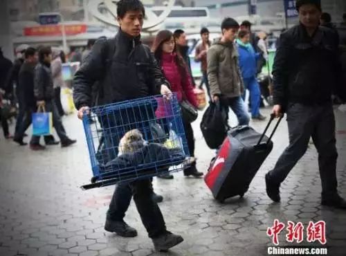 女子机场被抓,女子机场过安检被查