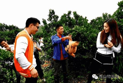 “村头”走向世界有多远？秀山296个电商网点让土货轻松变网货