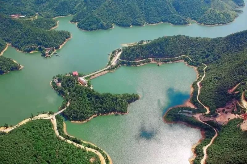 来吧!侧田、黄凯芹邀你到鼎湖一起过大年!