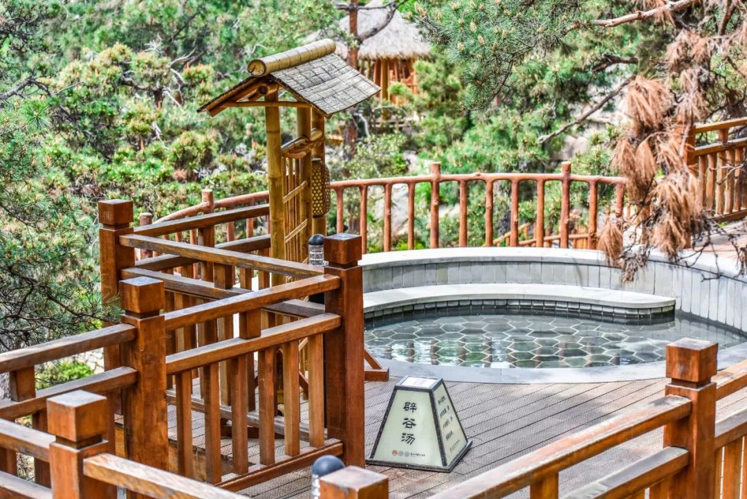 2月6-10（天天发班）蒙山（航天）康谷温泉度假村纯玩一日游——泡五星级露天温泉、赏山林间翠竹五星级中国长寿温泉128元