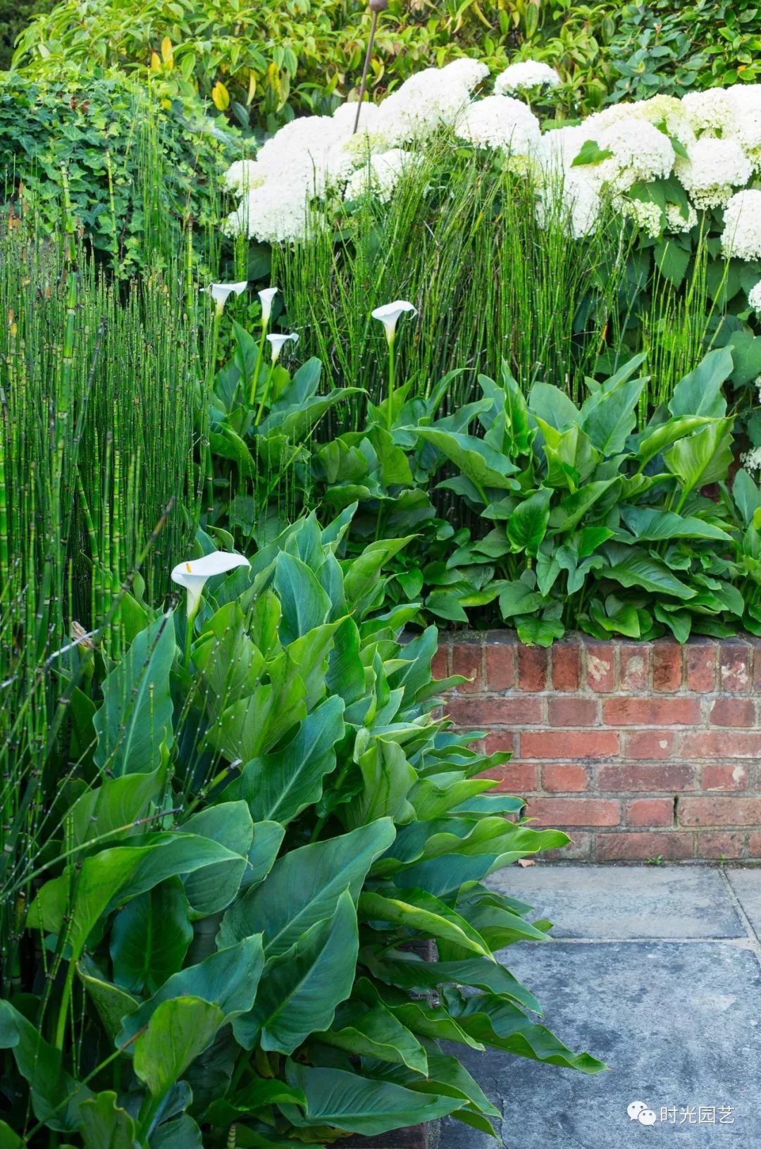 景｜肯特郡温泉花园｜JoThompsonLandscapeGardenDesign