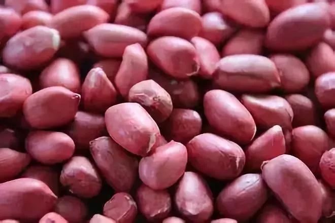 防城港好货,防城港哪里有干货批发