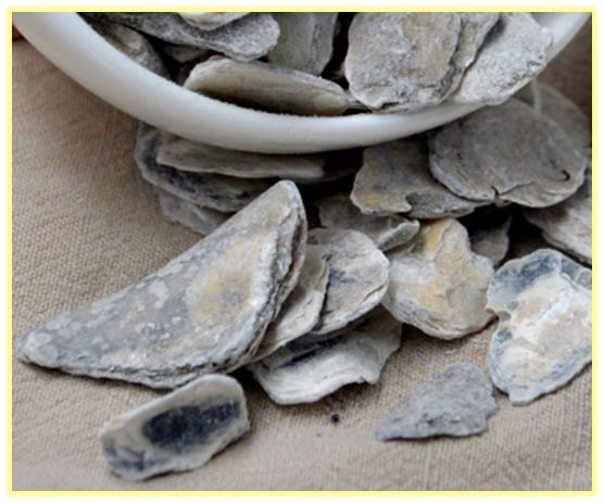 中药知识必学竹茹,中药牡蛎图片功效