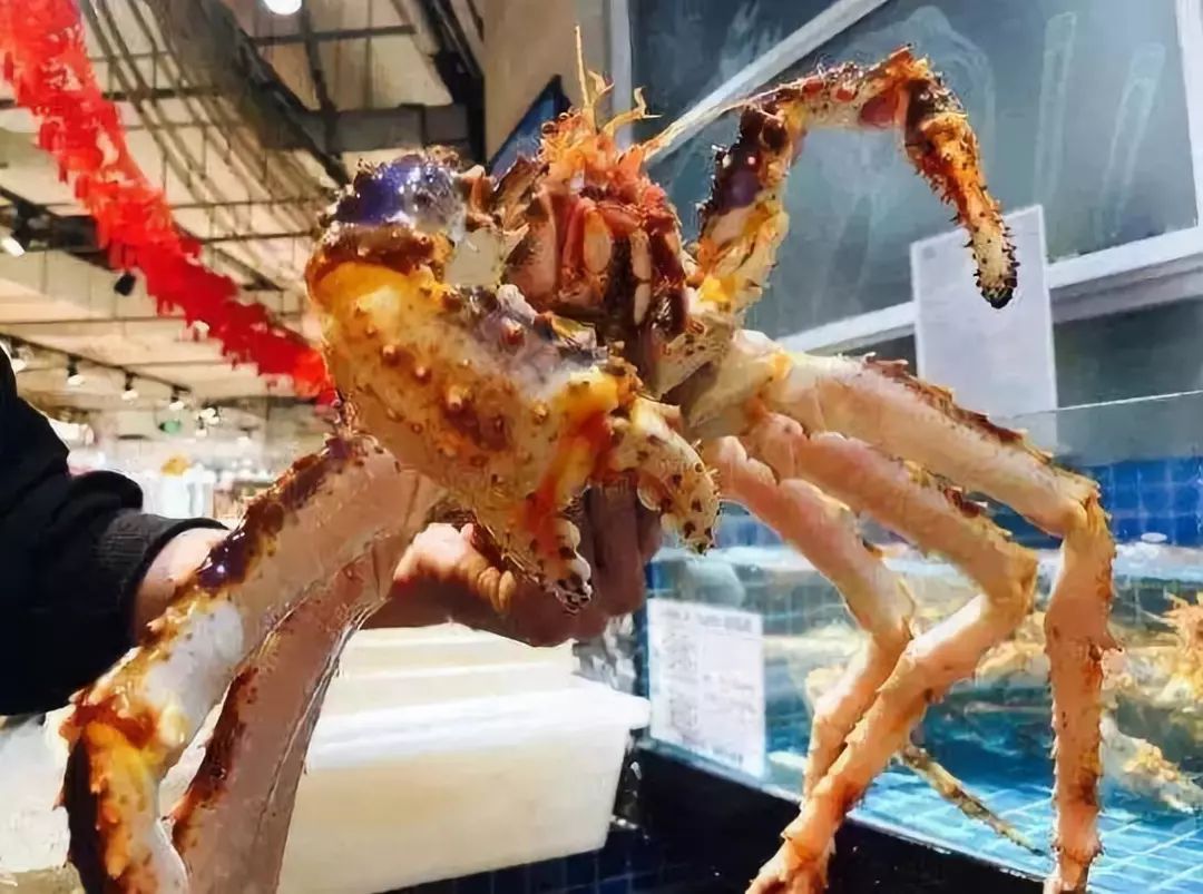 四线城市的车厘子,四线城市自由行车厘子