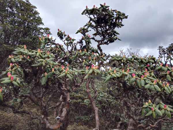 飞拉达攀岩金刀峡,老君山飞拉达攀岩有安全绳吗