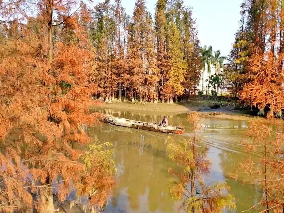 中山十大免费公园,中山最美的免费公园