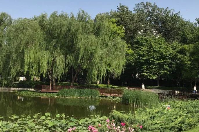 北京好玩免费的景点排名榜,北京周边免费景点自驾游