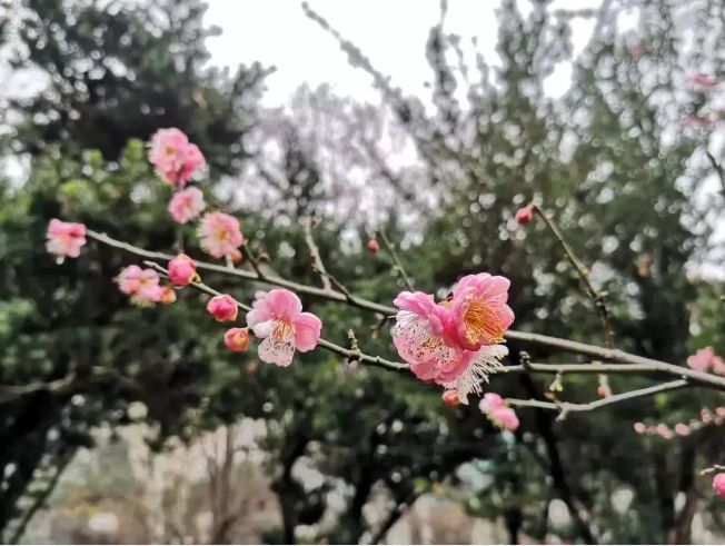 假期没玩够文旅,春节假期没有好好享受