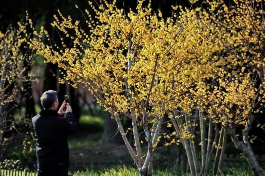 假期没玩够文旅,春节假期没有好好享受