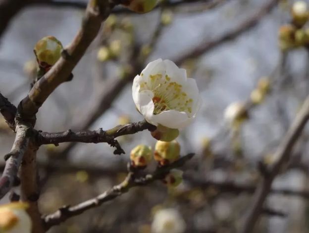 假期没玩够文旅,春节假期没有好好享受