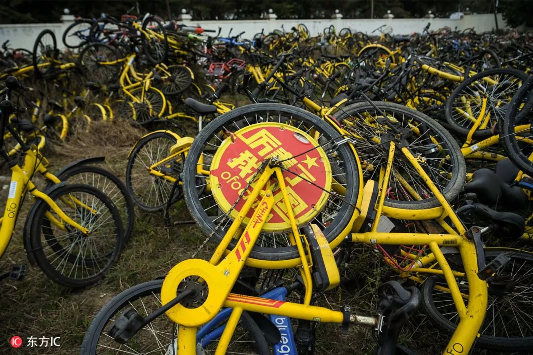 钟振彬:在俄罗斯,我真的拼了命|东方IC摄影师自选辑