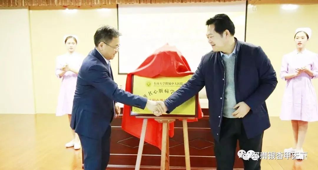 邳州市中医院医共体,邳州市合作医疗