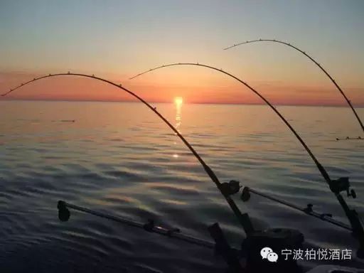 人均¥499就能住柏悦！吃喝玩乐都惊喜，错峰出游就选它！