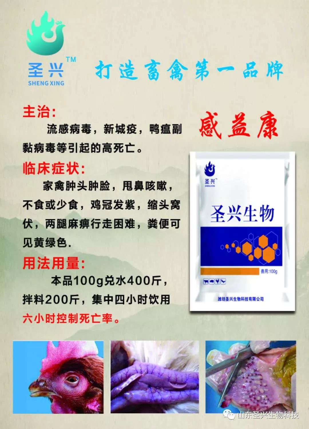 连续使用两个疗程浆膜炎和副粘病毒混感还不能根治，不要执着了，必须使用我们的黄金搭档