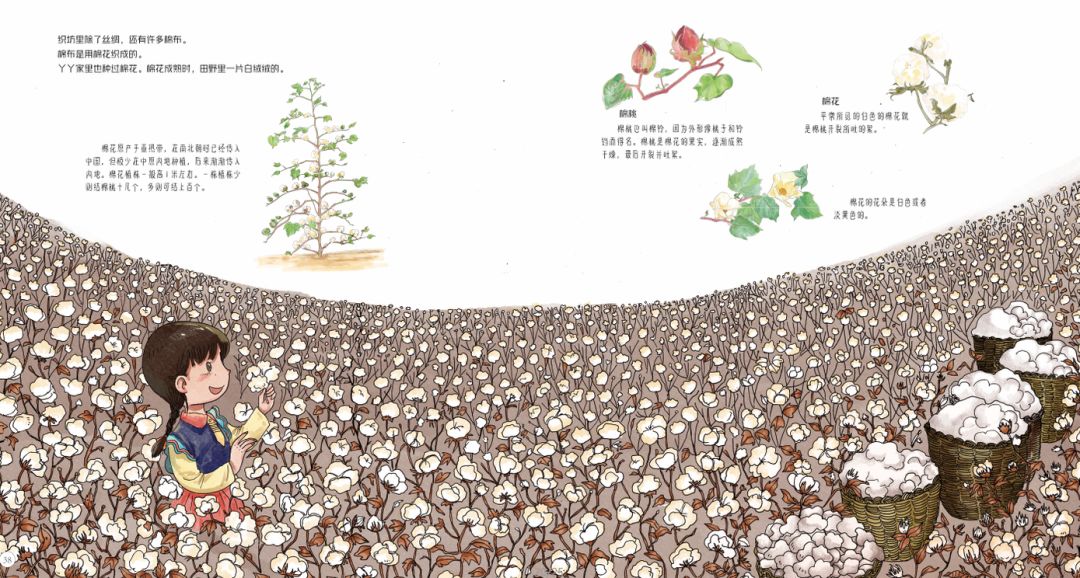 田野里的自然历史课读后感五年级,田野里的自然历史课pdf百度云