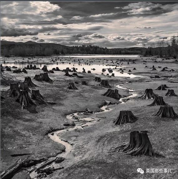 世界索尼摄影大赛作品背后的故事 (2018年索尼摄影大赛获奖作品中国)