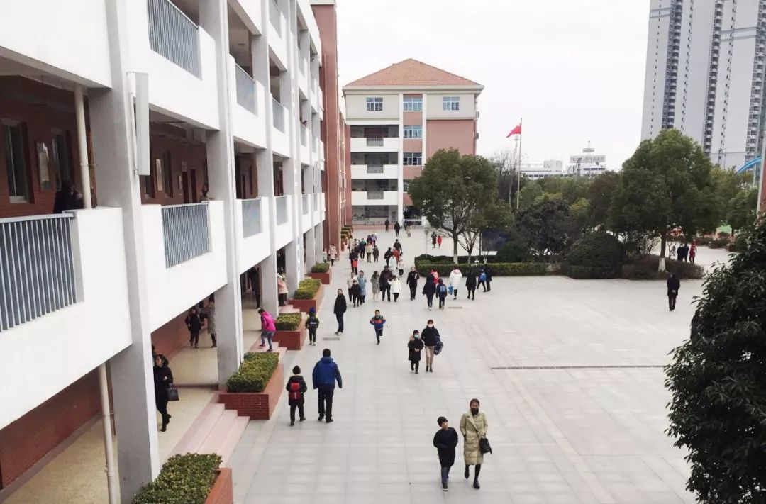 开学最新通知江苏盐城,江苏盐城学生开学时间调整通知