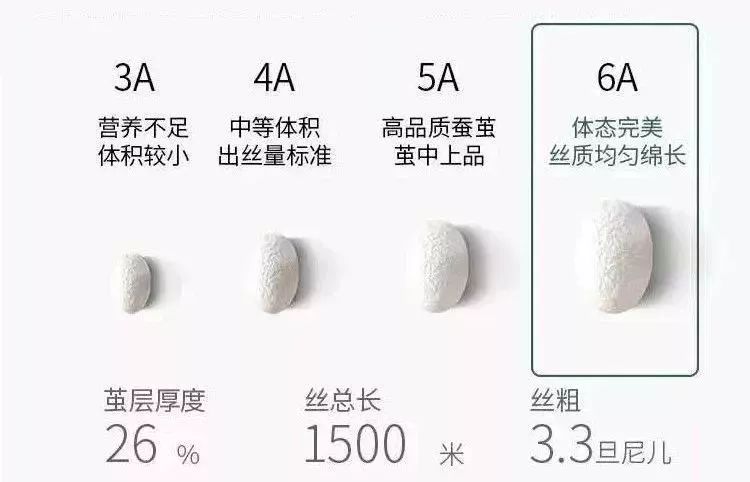 藏在美裙下的小心思：天然蚕丝，轻柔如空气，限时99/6条