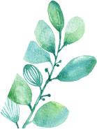 武清区运动会城关,武清区运动会开放时间