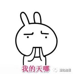 湖北经视第一届东阳红木透明团购会只剩三天！不买后悔一年！