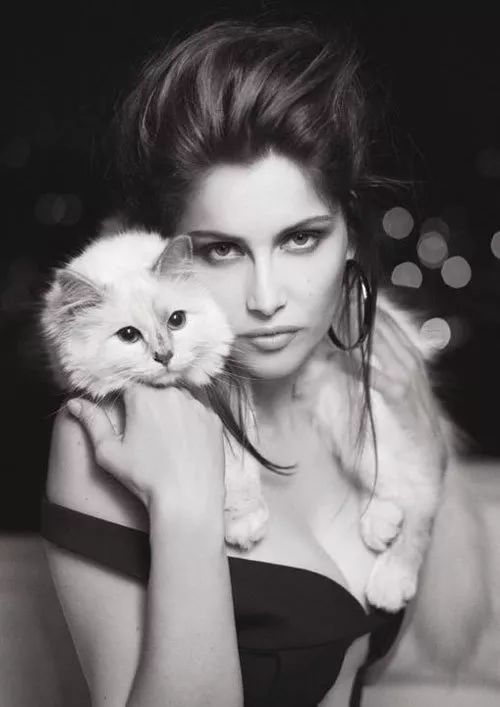 老佛爷的所有家产最后留给了猫 (老佛爷的猫死后谁来继承他的遗产)