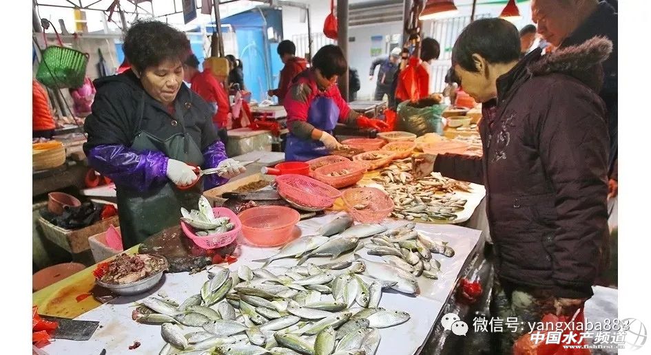 2020湛江海鲜干货价格表,湛江市海鲜贵吗