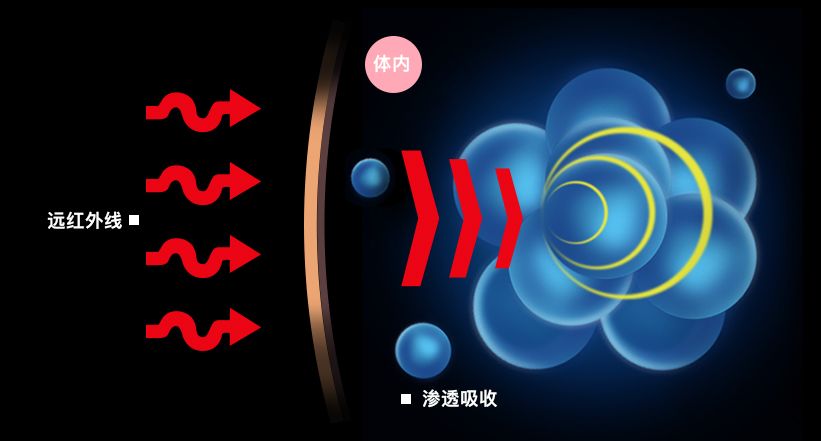 10倍燃烧卡路里！意大利夜光魔力裤，看得见的燃脂，30天还你超模腿！