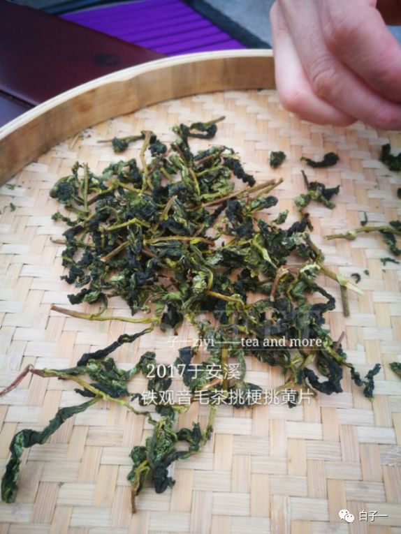 「子一茶课堂」茶里的黄片到底是什么？
